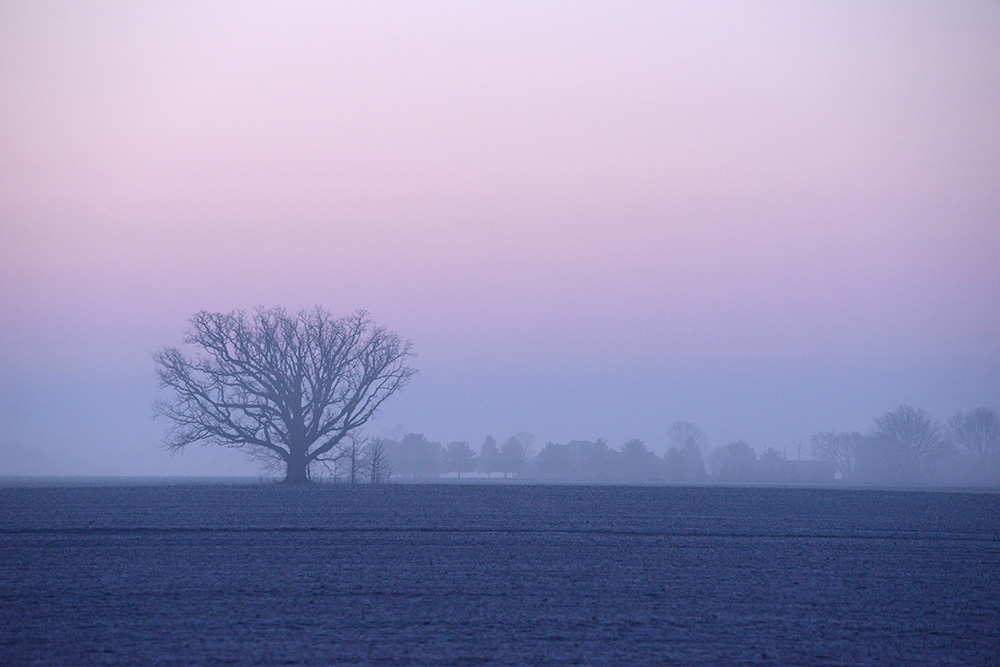 Morning scene